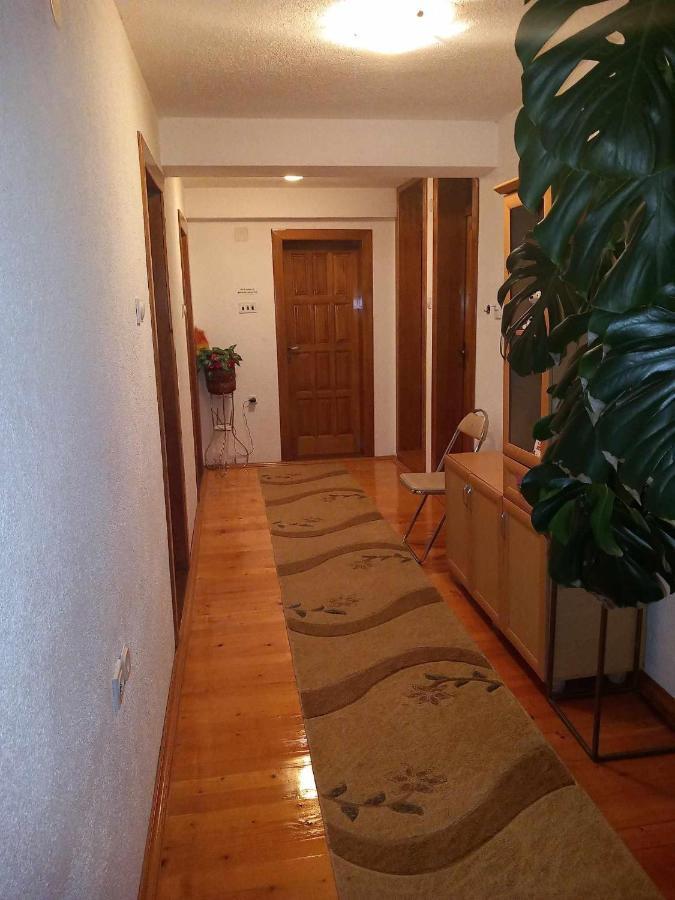Apartment Little Village Plav Kültér fotó